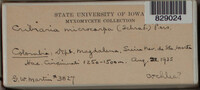 Image Associated With the Occurence